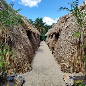 Hakuna Matata Glamping Camping